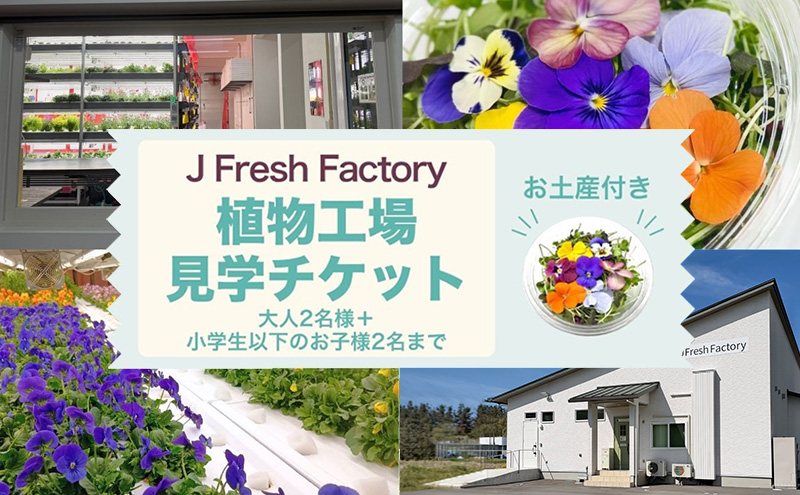 自動車部品メーカーが作った植物工場!エディブルフラワーの収穫体験付き工場見学(大人2名+小学生以下2名まで)栽培期間中無農薬で育てたリーフ&エディブルフラワーサラダカップのお土産付き 食用花 お花 サ